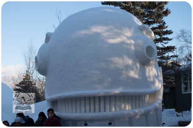 BARTZSNOW JAN2020 - 12-E_620x413