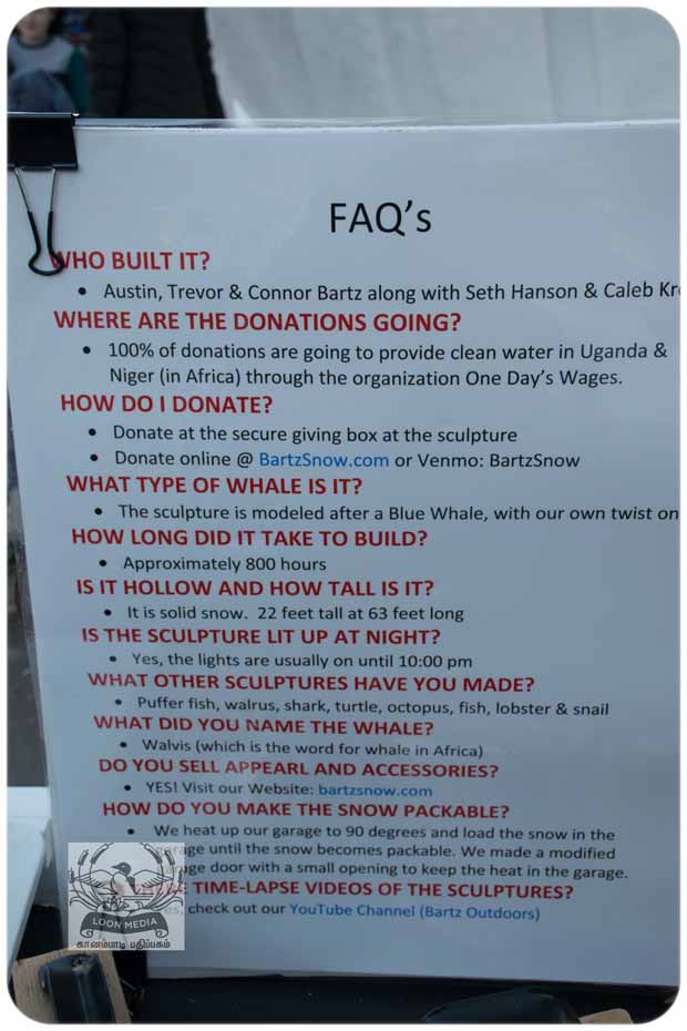 BARTZSNOW JAN2020 - 40-E_620x930