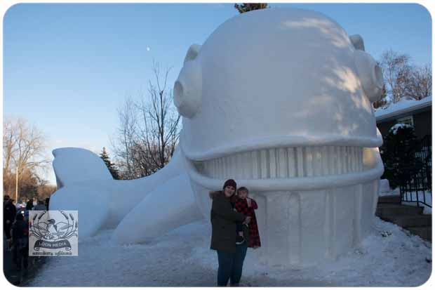 BARTZSNOW JAN2020 - 52-E_620x413