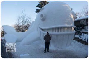 BARTZSNOW JAN2020 - 55-E_620x413