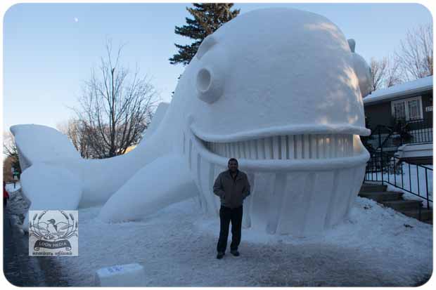 BARTZSNOW JAN2020 - 55-E_620x413