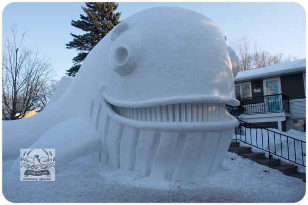 BARTZSNOW JAN2020 - 58-E_620x413