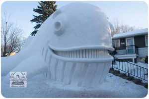 BARTZSNOW JAN2020 - 60-E_620x413