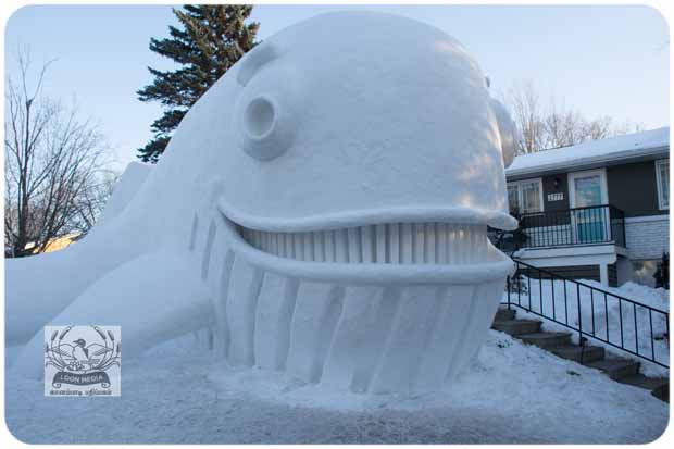 BARTZSNOW JAN2020 - 60-E_620x413