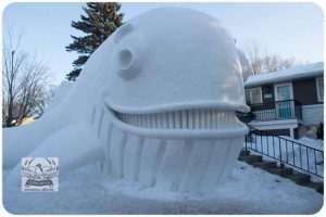 BARTZSNOW JAN2020 - 62-E_620x413