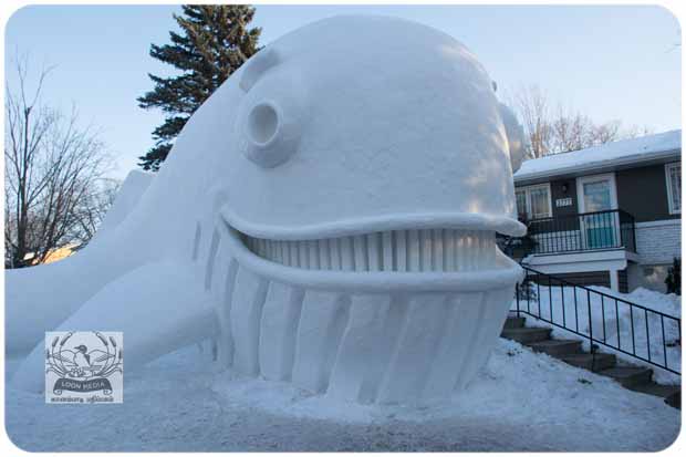 BARTZSNOW JAN2020 - 62-E_620x413