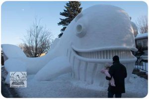 BARTZSNOW JAN2020 - 65-E_620x413