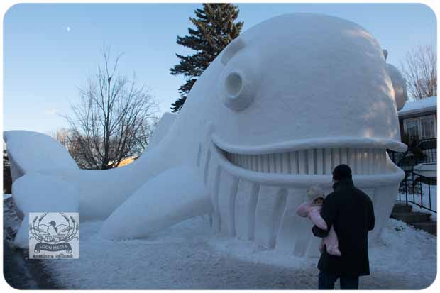 BARTZSNOW JAN2020 - 65-E_620x413