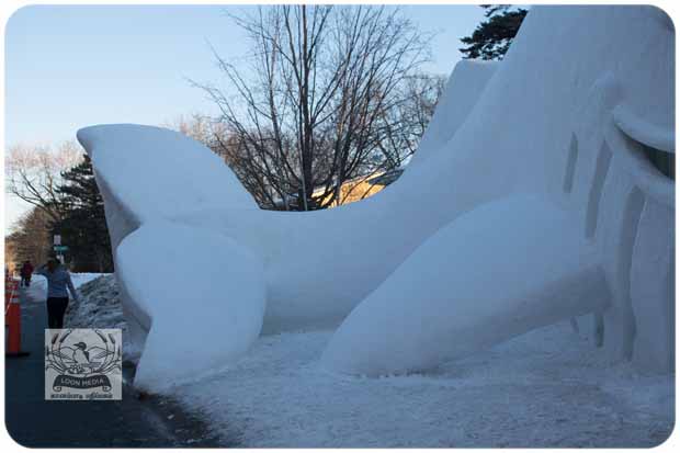 BARTZSNOW JAN2020 - 67-E_620x413