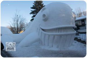 BARTZSNOW JAN2020 - 80-E_620x413