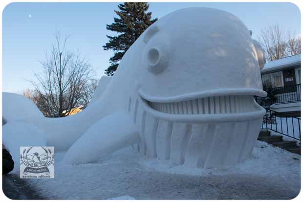 BARTZSNOW JAN2020 - 80-E_620x413