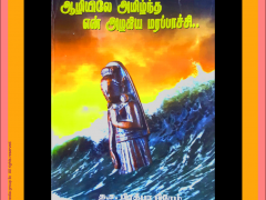 ஆழியிலே அமிழ்ந்த என் அழகிய மரப்பாச்சி –  நூல் நயம்