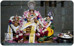 2020 TRIP PHOTOS 377-E_620x386