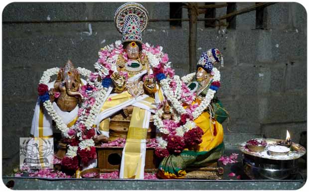 2020 TRIP PHOTOS 377-E_620x386