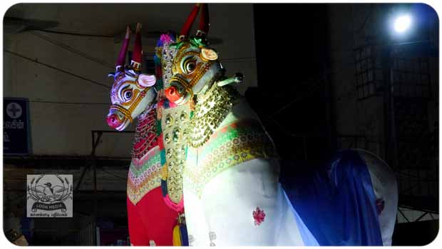 2020 TRIP PHOTOS 408-E_620x349