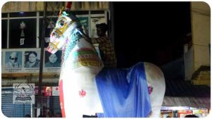 2020 TRIP PHOTOS 409-E_620x349