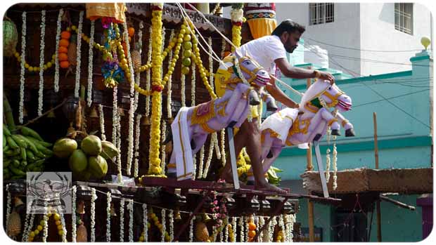 2020 TRIP PHOTOS 501-E_620x349