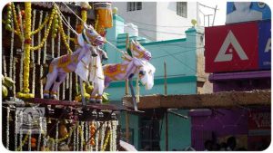 2020 TRIP PHOTOS 518-E_620x349