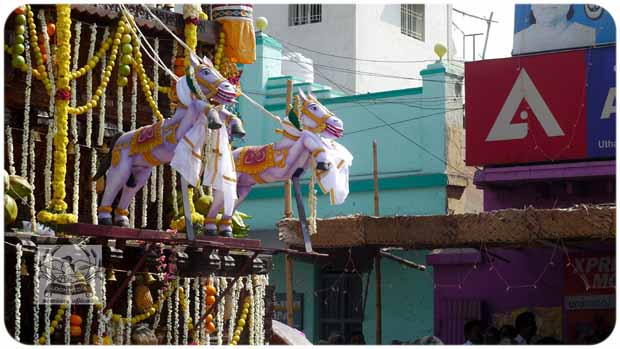 2020 TRIP PHOTOS 518-E_620x349