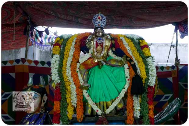 2020 TRIP PHOTOS 530-E_620x415