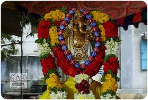 2020 TRIP PHOTOS 533-E_620x421