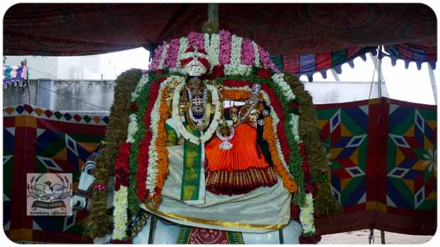 2020 TRIP PHOTOS 536-E_620x349