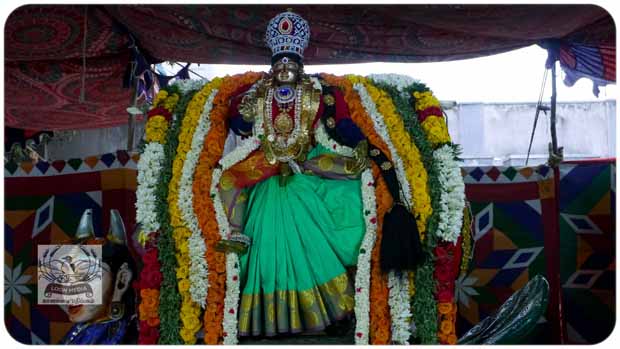 2020 TRIP PHOTOS 542-E_620x349