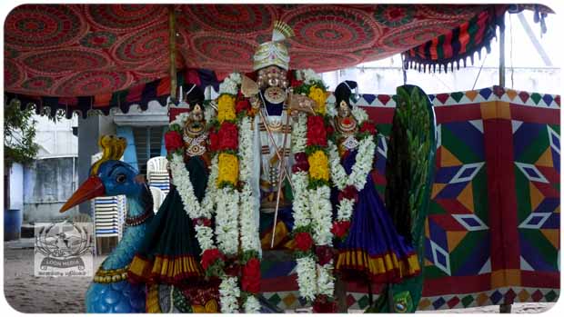 2020 TRIP PHOTOS 548-E_620x349