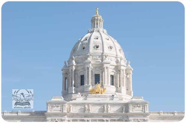 INDIA FEST 2020 007_620x413