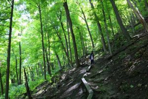 FRONTENAC STATE PARK SEP2020 - 03