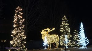 Glowfestival2020_08_640x349