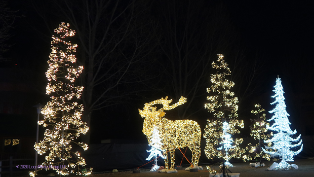 Glowfestival2020_08_640x349