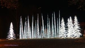 Glowfestival2020_10_640x349