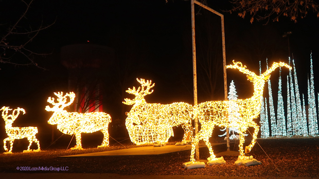 Glowfestival2020_11_640x349