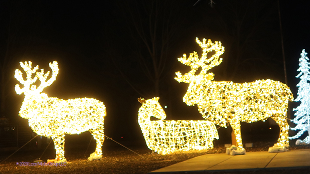 Glowfestival2020_13_640x349