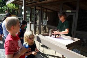 Fawn-Doe-Rosa AUG2021-01_620x413