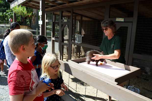 Fawn-Doe-Rosa AUG2021-01_620x413