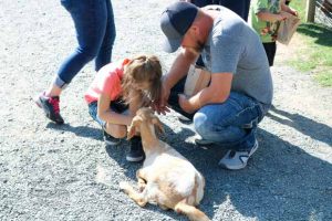 Fawn-Doe-Rosa AUG2021-03_620x413