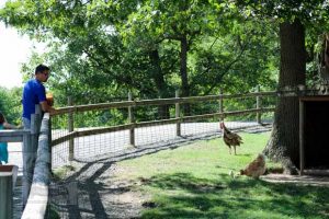 Fawn-Doe-Rosa AUG2021-04_620x413