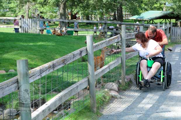 Fawn-Doe-Rosa AUG2021-07_620x413