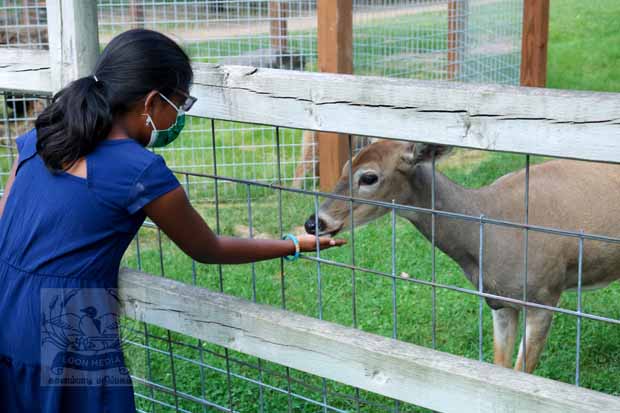 Fawn-Doe-Rosa AUG2021-09_620x413