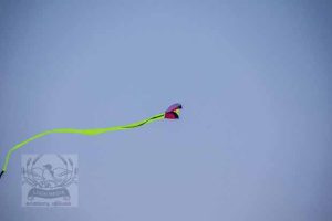 LAKE HARRIET KITE FESTIVAL 22JAN2022 - 044_620X413