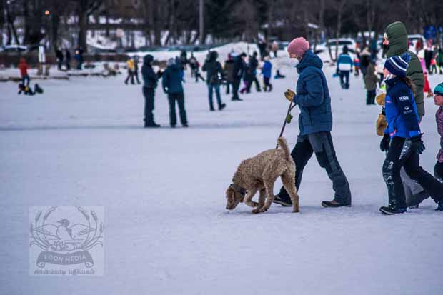 LAKE HARRIET KITE FESTIVAL 22JAN2022 - 050_620X413