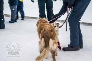LAKE HARRIET KITE FESTIVAL 22JAN2022 - 187_620X413