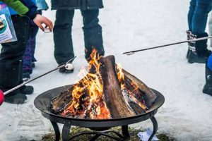 LAKE HARRIET KITE FESTIVAL 22JAN2022 - 195_620X413