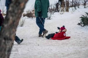 LAKE HARRIET KITE FESTIVAL 22JAN2022 - 215_620X413