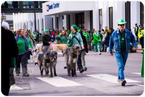 ST. PATRICK’S DAY PARADE 2022 - 0354_620X413