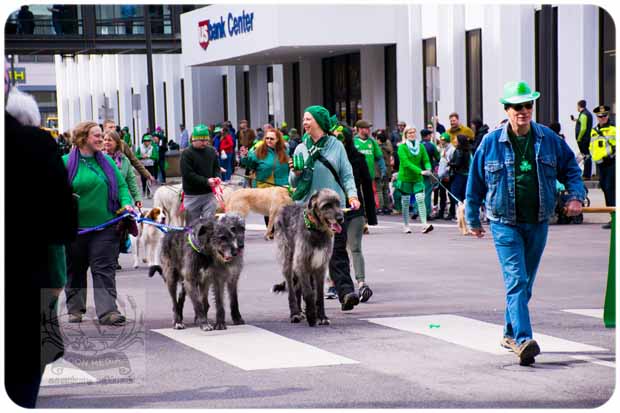 ST. PATRICK’S DAY PARADE 2022 - 0354_620X413
