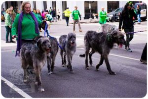ST. PATRICK’S DAY PARADE 2022 - 0361_620X413
