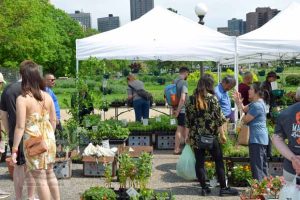 SONGKRAN 29MAY2022 - 090_620X413